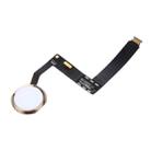 Home Button Assembly Flex Cable, Not Supporting Fingerprint Identification for iPad Pro 9.7 inch (Gold) - 4