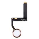 for iPad Pro 9.7 inch Home Button Assembly Flex Cable, Not Supporting Fingerprint Identification(Rose Gold) - 1
