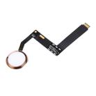 for iPad Pro 9.7 inch Home Button Assembly Flex Cable, Not Supporting Fingerprint Identification(Rose Gold) - 4