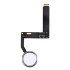 Home Button Assembly Flex Cable, Not Supporting Fingerprint Identification for iPad Pro 9.7 inch (Silver) - 1