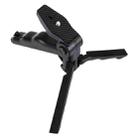 PULUZ Grip Folding Tripod Mount with Adapter & Screws for GoPro Hero11 Black / HERO10 Black / HERO9 Black / HERO8 Black / HERO7 /6 /5 /5 Session /4 Session /4 /3+ /3 /2 /1, Xiaoyi and Other Action Cameras, Load Max: 2kg(Black) - 2