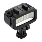 PULUZ 20 LEDs 40m Waterproof IPX8 Studio Light Video & Photo Light with Hot Shoe Base Adapter & Quick Release Buckle & Long Screw & 2 x Filter Plates for GoPro HERO10 Black / HERO9 Black / HERO8 Black / HERO7 /6 /5 /5 Session /4 Session /4 /3+ /3 /2 /1, Xiaoyi and Other Action Cameras - 2