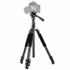 PULUZ 1.6m Reverse-Folding Professional Video Tripod with Fluid Drag Head (Black) - 1