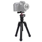 PULUZ  Pocket Mini Microspur Photos Magnesium Alloy Tripod Mount with 360 Degree Ball Head  for DSLR &  Digital Camera, Adjustable Height: 24.5-57cm, Load Max: 3kg - 1