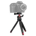 PULUZ Pocket Mini Metal Desktop Tripod Mount with 360 Degree Ball Head for DSLR & Digital Cameras, Adjustable Height: 11-21cm - 1