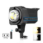 PULUZ 220V 150W Studio Video Light 3200K-5600K Dual Color Temperature Built-in Dissipate Heat System with Remote Control(US Plug) - 1