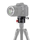 PULUZ Aluminum Alloy Panoramic Indexing Rotator Ball Head with Quick Release Plate for Camera Tripod Head - 1