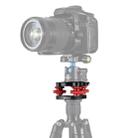 PULUZ Aluminum Alloy Adjustment Dials Leveling Base Ball Head for Camera Tripod Head - 1