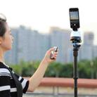 PULUZ Electronic 360 Degree Rotation Panoramic Head + Tripod Mount + GoPro Clamp + Phone Clamp with Remote Controller for Smartphones, GoPro, DSLR Cameras(Blue) - 7