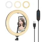 PULUZ 10.2 inch 26cm USB 3 Modes Dimmable LED Ring Vlogging Selfie Beauty  Photography Video Lights with Tripod Ball Head & Phone Clamp(Black) - 1