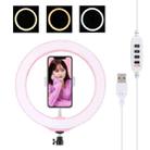 PULUZ 10.2 inch 26cm USB 3 Modes Dimmable LED Ring Vlogging Selfie Beauty Photography Video Lights with Tripod Ball Head & Phone Clamp(Pink) - 1