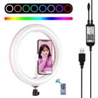 PULUZ 10.2 inch 26cm Curved Surface USB RGBW Dimmable LED Ring Vlogging Photography Video Lights with Tripod Ball Head & Remote Control & Phone Clamp(Pink) - 1