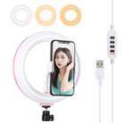 PULUZ 7.9 inch 20cm USB 3 Modes Dimmable Dual Color Temperature LED Curved Light Ring Vlogging Selfie Photography Video Lights with Phone Clamp(Pink) - 1