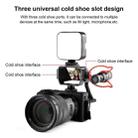 PULUZ Camera Vlog Selfie Flip Screen with Cold Shoe Mount Adapter for Mirrorless Camera(Black) - 3