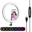 PULUZ 11.8 inch 30cm Curved Surface USB 10 Modes 8 Colors RGBW Dimmable LED Ring Vlogging Photography Video Lights with Tripod Ball Head & Phone Clamp(Black) - 1