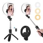 PULUZ 6.3 inch 16cm Ring LED Live Broadcast Vlogging Selfie Light + Bluetooth Selfie Stick Tripod Mount(Black) - 1