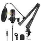 PULUZ Studio Broadcast Professional Singing Microphone Kits with Suspension Scissor Arm & Metal Shock Mount & USB Sound Card(Black) - 1