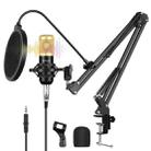 PULUZ Condenser Microphone Studio Broadcast Professional Singing Microphone Kits with Suspension Scissor Arm & Metal Shock Mount & USB Sound Card, Power By 48V(Gold) - 1
