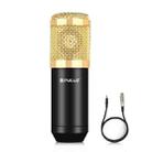 PULUZ Condenser Microphone Studio Broadcast Professional Singing Microphone (Gold) - 1