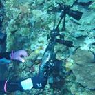 PULUZ 40m Underwater Depth Diving Case Waterproof Camera Housing for Sony RX100 IV(Black) - 5
