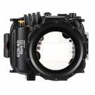 PULUZ 40m Underwater Depth Diving Case Waterproof Camera Housing for Canon EOS-5D Mark III (EF 24-105mm f/4L IS II USM) - 2