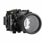 PULUZ 40m Underwater Depth Diving Case Waterproof Camera Housing for Canon EOS-5D Mark III (EF 24-105mm f/4L IS II USM) - 10