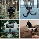 PULUZ Mini Octopus Flexible Tripod Holder with Remote Control for SLR Cameras, GoPro, Cellphone - 8
