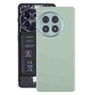 For OnePlus Ace 3 Pro PJX110 Original Leather Battery Back Cover with Camera Lens(Green) - 1