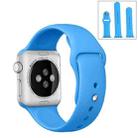 For Apple Watch Series 9&8&7 41mm / SE 3&SE 2&6&SE&5&4 40mm / 3&2&1 38mm 3 in 1 Rubber Watch Band with Pin Buckle(Blue) - 1
