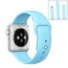 For Apple Watch Series 9&8&7 41mm / SE 3&SE 2&6&SE&5&4 40mm / 3&2&1 38mm 3 in 1 Rubber Watch Band with Pin Buckle(Baby Blue) - 1