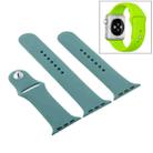 For Apple Watch Series 9&8&7 41mm / SE 3&SE 2&6&SE&5&4 40mm / 3&2&1 38mm 3 in 1 Rubber Watch Band with Pin Buckle(Cactus) - 1