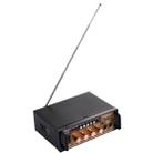 AK-698E HiFi Stereo Audio Power Amplifier 20W + 20W Digital Player with Remote Control, Support FM / SD / MP3 Player / USB, AC 220V / DC 12V(Black) - 4