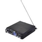 AK-901 Stereo Audio Karaoke Power Amplifier with Remote Control, Support SD Card / USB Flash Disk(Black) - 3