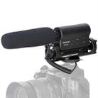 TAKSTAR SGC-598 Professional Photography Interview Dedicated Microphone for DSLR & DV Camcorder - 1