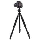 Triopo C-158+KJ-1 Adjustable Portable Aluminum Alloy Tripod - 1