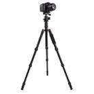 Triopo MT-2505C Adjustable Portable Aluminum Tripod with NB-1S Ball Head for Canon Nikon Sony DSLR Camera(Black) - 1