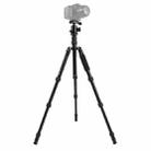 Triopo MT-2505C Adjustable Portable Aluminum Tripod (Gold) with NB-1S Ball Head (Black) for Canon Nikon Sony DSLR Camera - 1