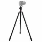 Triopo MT-2804C Adjustable Portable Aluminum Tripod with NB-2S Ball Head for Canon Nikon Sony DSLR Camera(Black) - 1