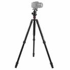 Triopo MT-2804C Adjustable Portable Aluminum Tripod (Gold) with NB-2S Ball Head (Black) for Canon Nikon Sony DSLR Camera - 1