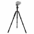 Triopo MT-2805C Adjustable Portable Aluminum Tripod with NB-2S Ball Head for Canon Nikon Sony DSLR Camera(Black) - 1