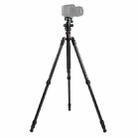 Triopo GT-2504X8.C Adjustable Portable Carbon Fiber Tripod with B-1 Aluminum Ball Head for Canon Nikon Sony DSLR Camera(Black) - 1