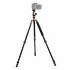 Triopo GT-2504X8.C Adjustable Portable Carbon Fiber Tripod with B-1 Aluminum Ball Head for Canon Nikon Sony DSLR Camera - 1