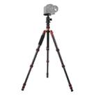 Triopo GT-2505x8.C Adjustable Portable Carbon Fiber Tripod with B-1 Aluminum Ball Head for Canon Nikon Sony DSLR Camera(Black) - 1