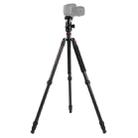 Triopo GT-2804X8.C Adjustable Portable Carbon Fiber Tripod with B-2 Aluminum Ball Head for Canon Nikon Sony DSLR Camera(Black) - 1