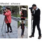 ZOMEI Z688 Portable Professional Travel Magnesium Alloy Material Tripod Monopod with Ball Head for Digital Camera - 3