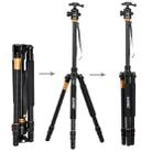 ZOMEI Z688 Portable Professional Travel Magnesium Alloy Material Tripod Monopod with Ball Head for Digital Camera - 4