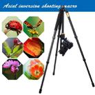 ZOMEI Z688 Portable Professional Travel Magnesium Alloy Material Tripod Monopod with Ball Head for Digital Camera - 7