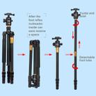 ZOMEI Z688 Portable Professional Travel Magnesium Alloy Material Tripod Monopod with Ball Head for Digital Camera - 8