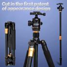 ZOMEI Z688 Portable Professional Travel Magnesium Alloy Material Tripod Monopod with Ball Head for Digital Camera - 9