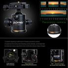 ZOMEI Z688 Portable Professional Travel Magnesium Alloy Material Tripod Monopod with Ball Head for Digital Camera - 10